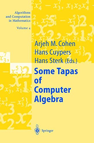 some tapas of computer algebra